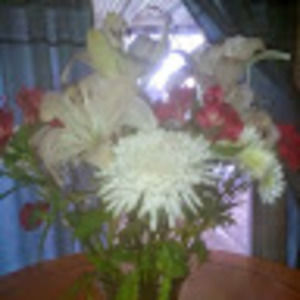 Meet your Posher, Patricia